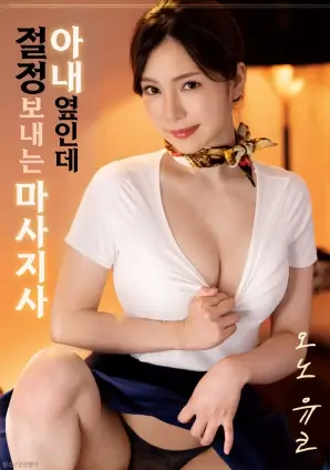 剧情图像小说候鸟来信